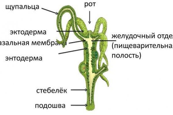 Kraken darknet это что такое